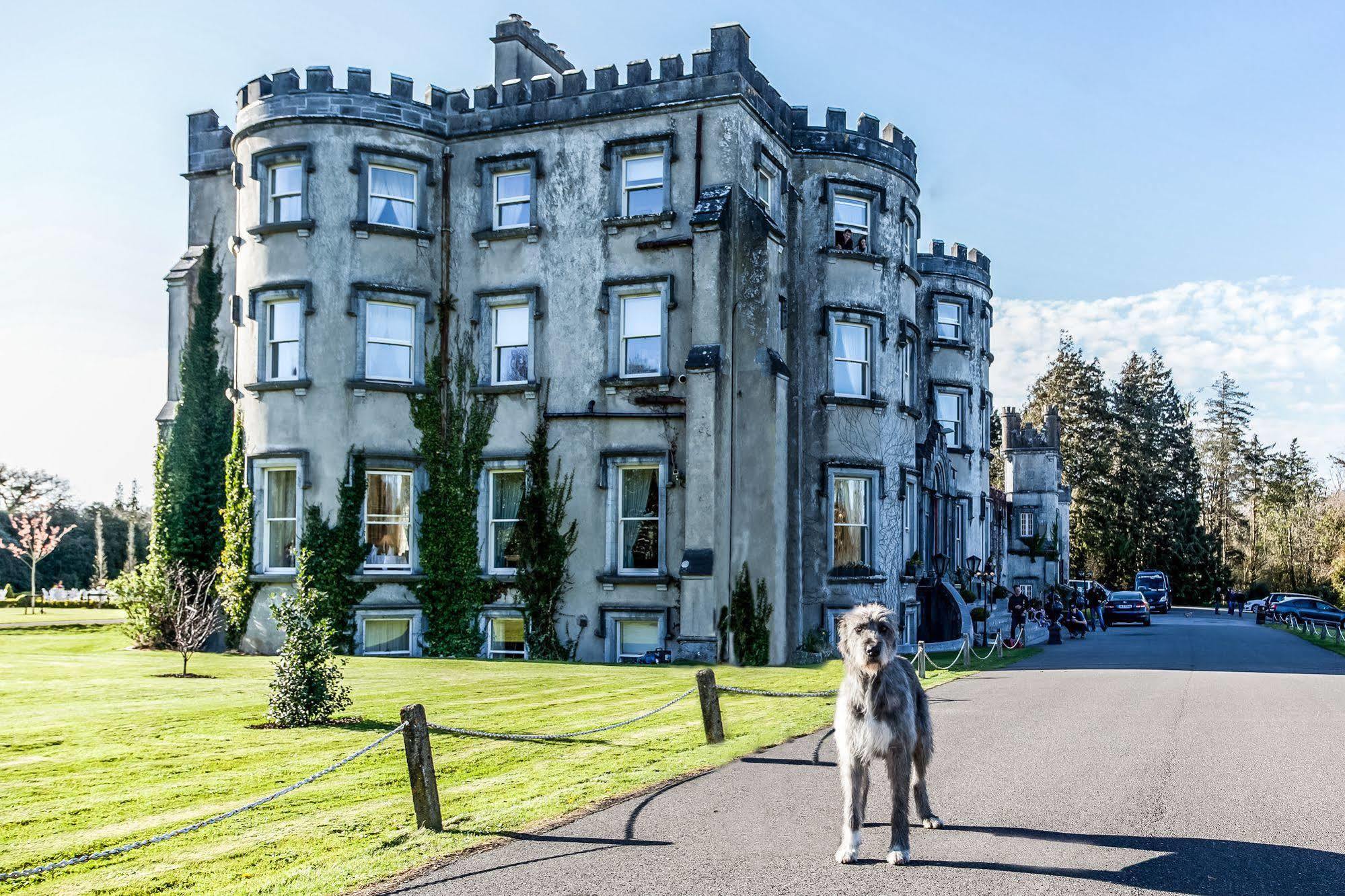 Ballyseede Castle Tralee Buitenkant foto